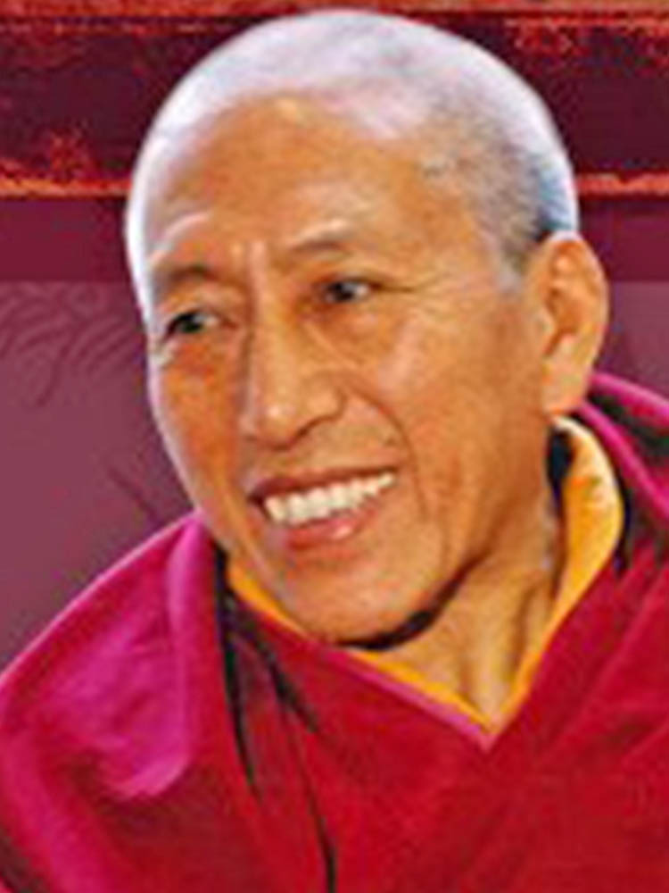 Samdhong Rinpoche portrait