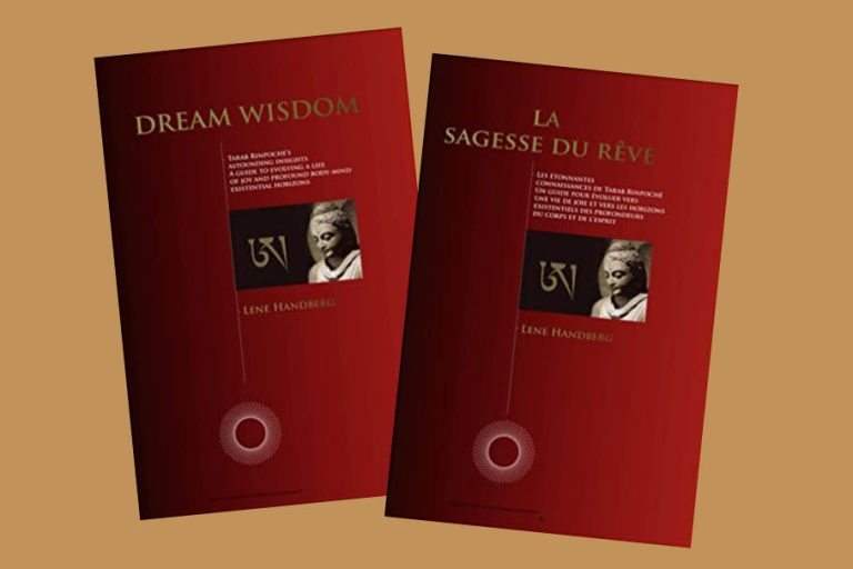 New update Dream Wisdom book, also French translation